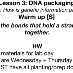 Dna and dna replication webquest