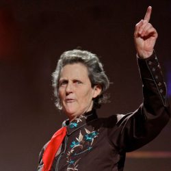 Temple grandin movie guide answer key