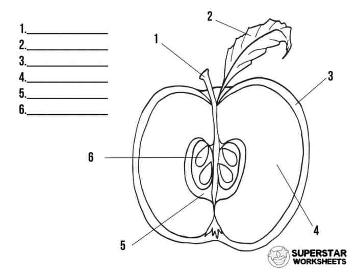 Apple parts