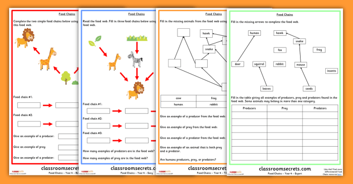 Food chains and food webs worksheet