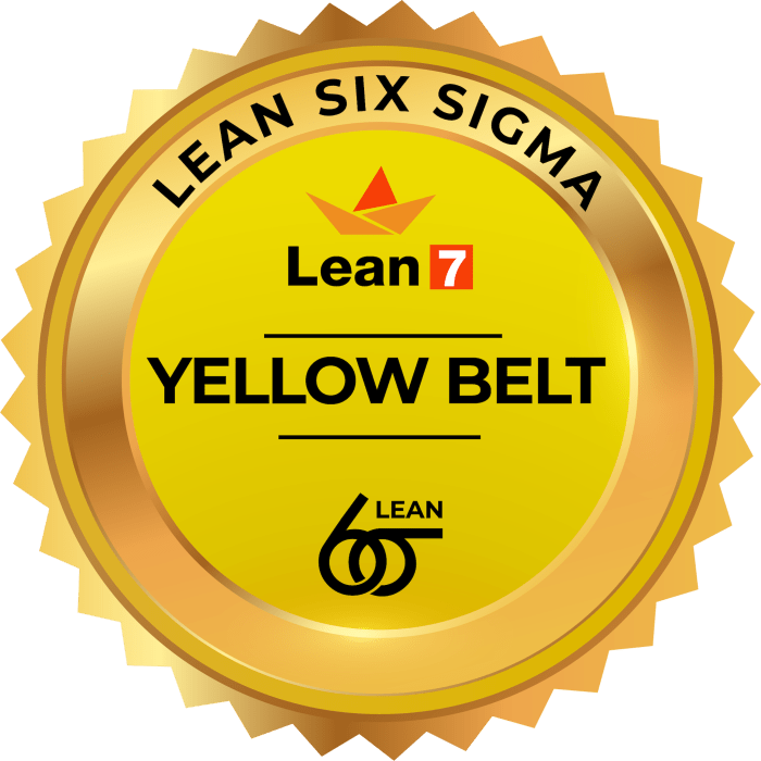 Yellow belt six sigma exam questions