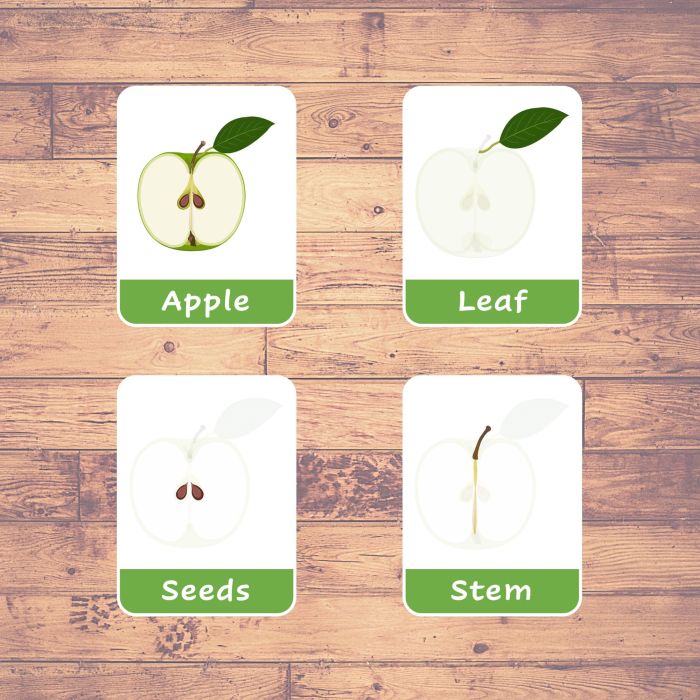 Label the parts of an apple