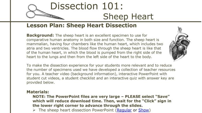 Lab dissection sheep brain worksheet