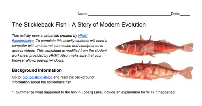 Fish stickleback evolution washington lake