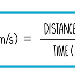 Calculating speed and velocity worksheet answers